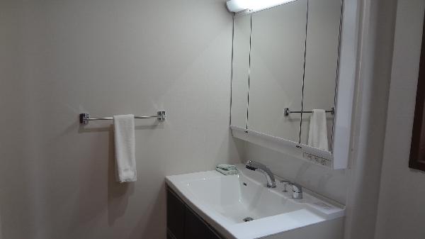 Wash basin, toilet. It is vanity