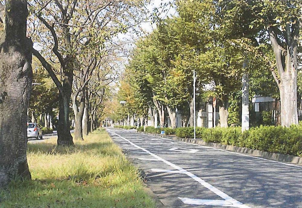 Streets around. 450m until the tree-lined streets