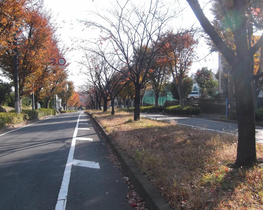 Other local. Local (11 May 2013) Shooting