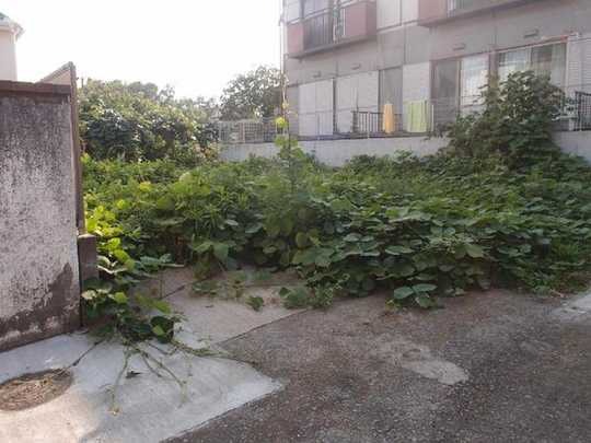 Local land photo. local