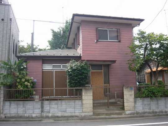 Local land photo. Appearance (1)