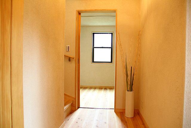 Other introspection. Interior wall paint wall of diatomaceous earth