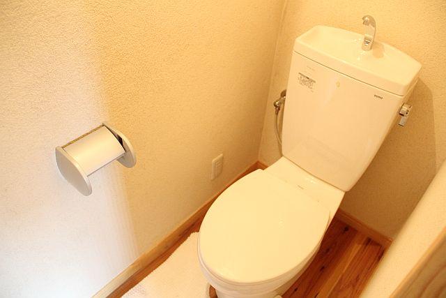 Toilet. Simple toilet