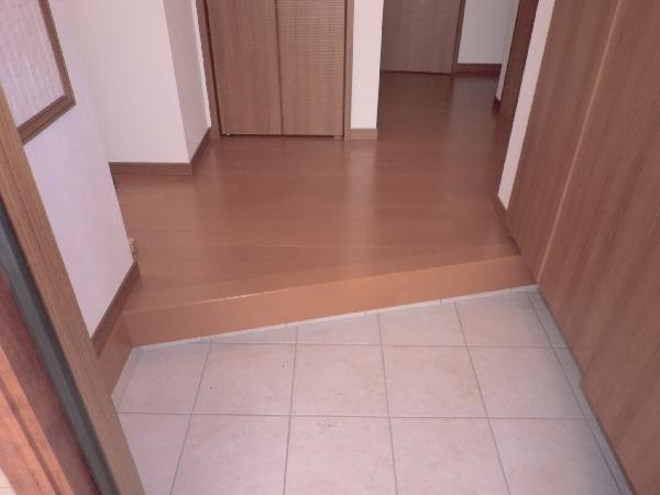 Other introspection. Entrance