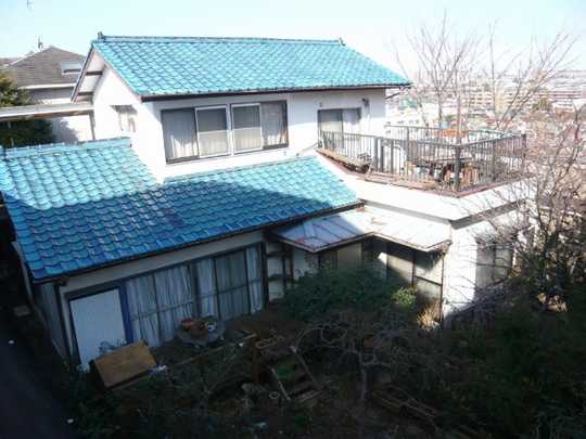 Local land photo. Appearance (1)