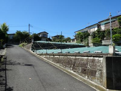 Local photos, including front road. Local (September 2013) Shooting