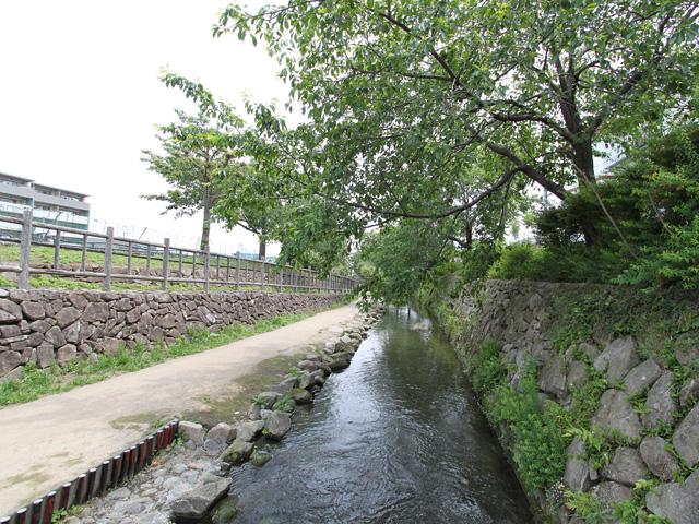 Other Environmental Photo. 75m up to two months of territory water