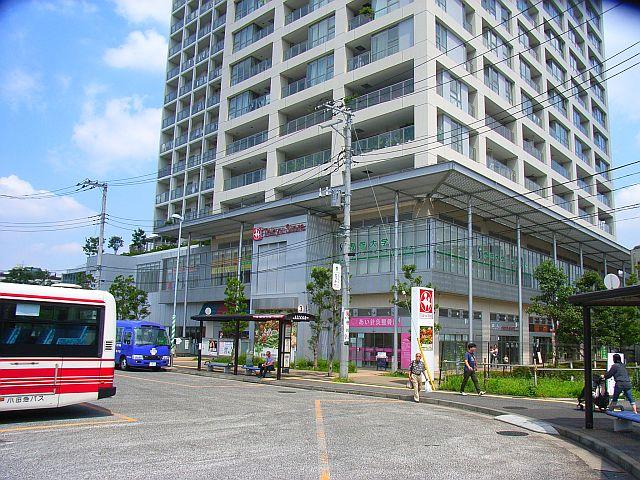 Supermarket. Mukogaoka Amusement Tokyu Store Chain