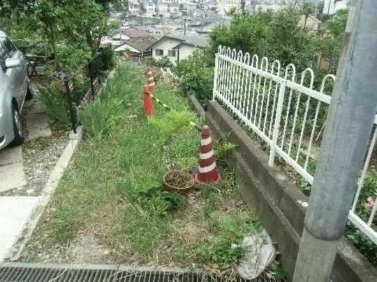 Local land photo. local