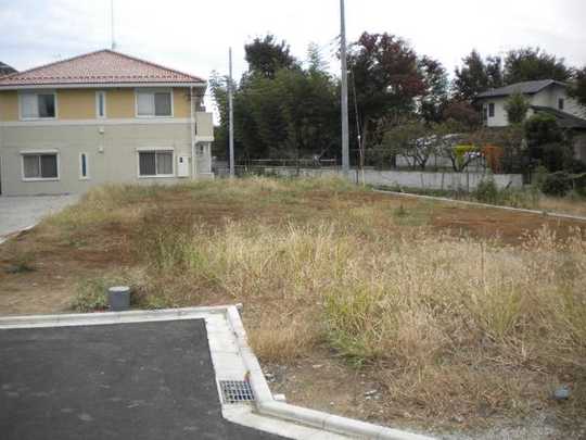 Local land photo. local