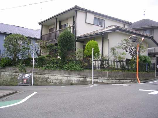 Local land photo. Appearance (1)