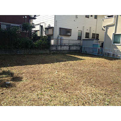 Local land photo. Local Photos