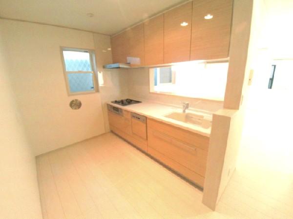 Kitchen. Counter kitchen with dishwasher