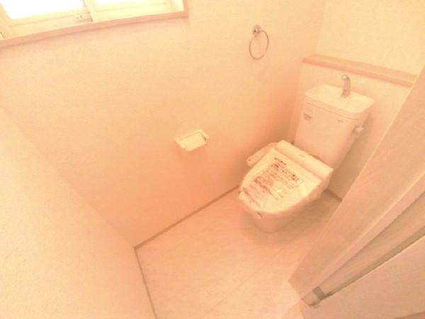 Toilet. Shower toilet