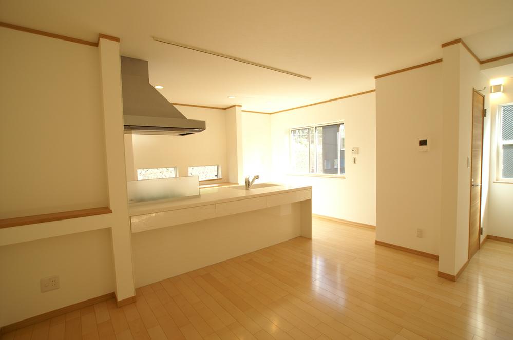 Kitchen. Indoor (11 May 2013) Shooting