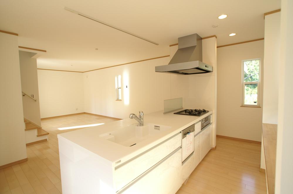 Kitchen. Indoor (11 May 2013) Shooting