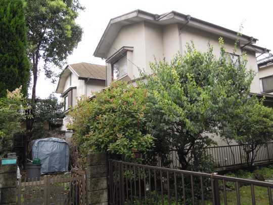 Local land photo. Local Photos