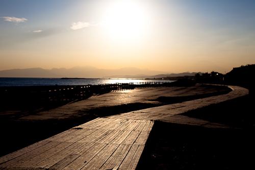 Other Environmental Photo. Boardwalk