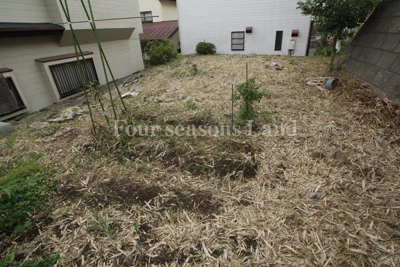 Local land photo. Local (September 2012) shooting shadow