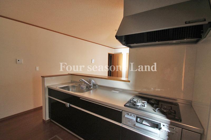 Kitchen. The company construction cases