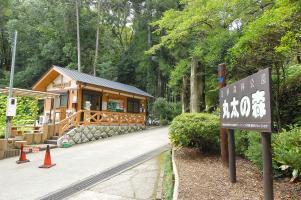 park. Ashigara Forest Park "log of the Forest" that can the contact with nature in the 3500m everyday life until the forest of logs can be found in the place of about 12 minutes by car.