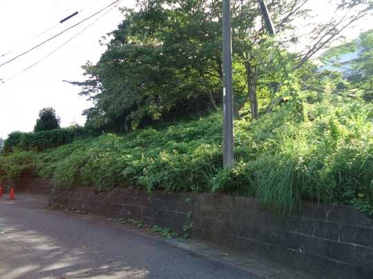 Local land photo. Local is. 2013 August shooting