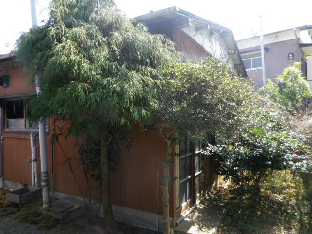 Local land photo. Local (March 2013) Shooting