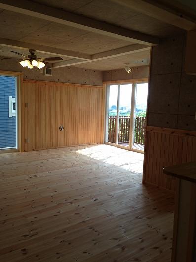 Same specifications photos (living). Example of construction