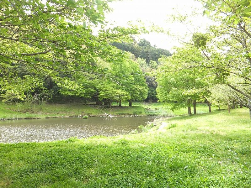 park. You can firefly watch the 550m early summer to the park of the water and the woods.