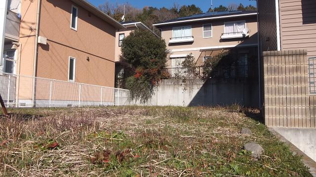 Local land photo. Local is sunny terraced land! Local (12 May 2013)