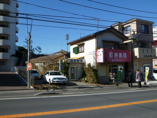 Local land photo. Property with a bright sense of liberation