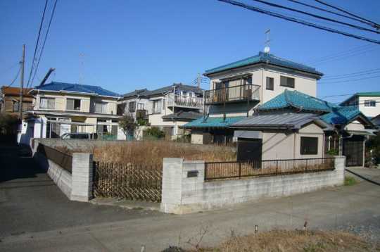 Local land photo. Appearance 1