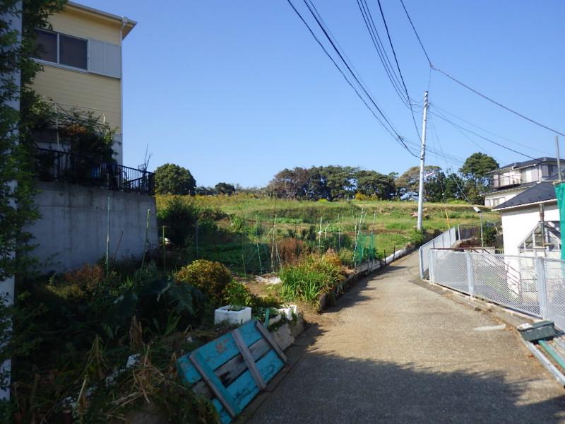 Local photos, including front road