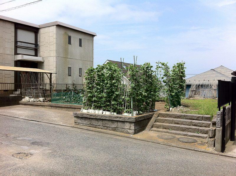 Local photos, including front road