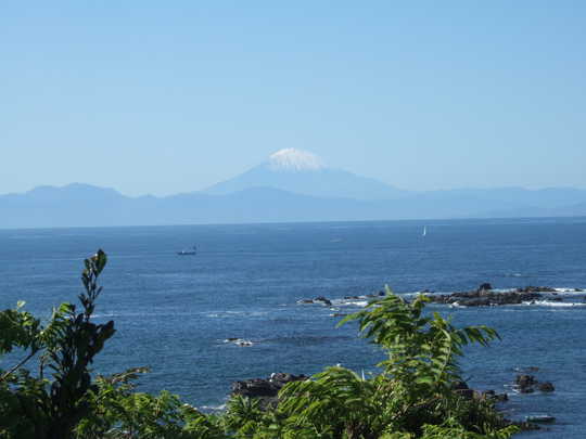 View photos from the local. There are wonderful views to the local.