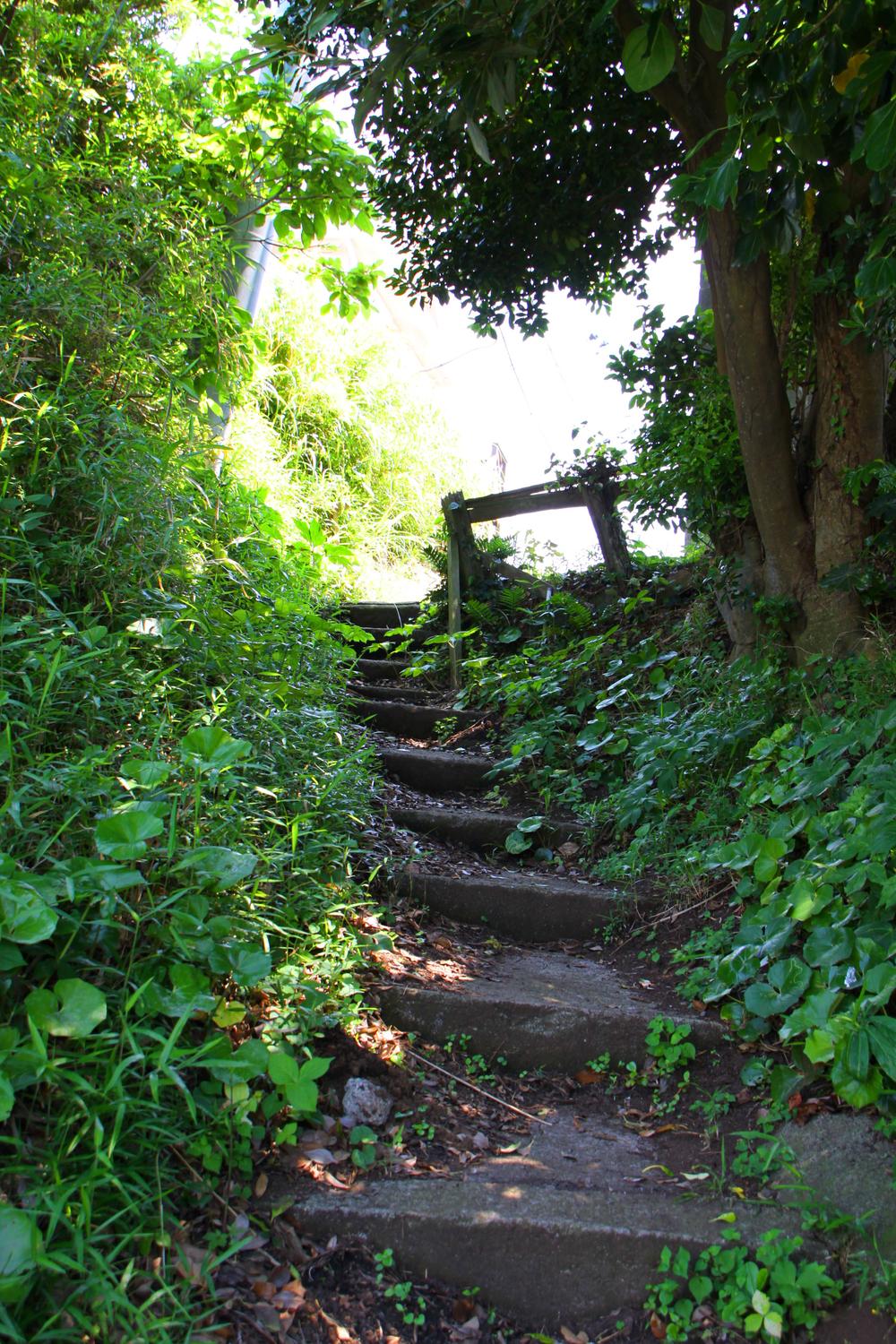 Local photos, including front road. It is a front road with a retreat-like atmosphere.