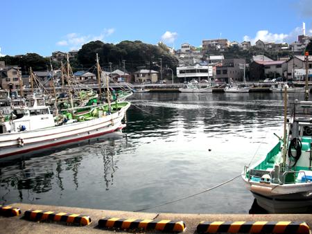 View photos from the local. View from local (10 May 2011) Shooting