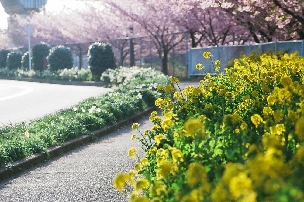 park. 972m to Komatsu Ke Pond Park