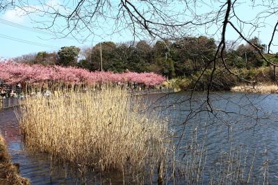 park. 952m to Komatsu Ke Pond Park