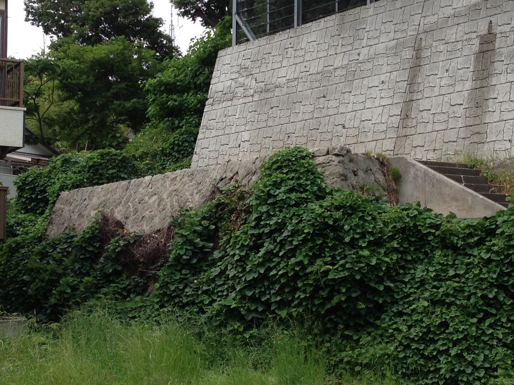 Local land photo. The upper part