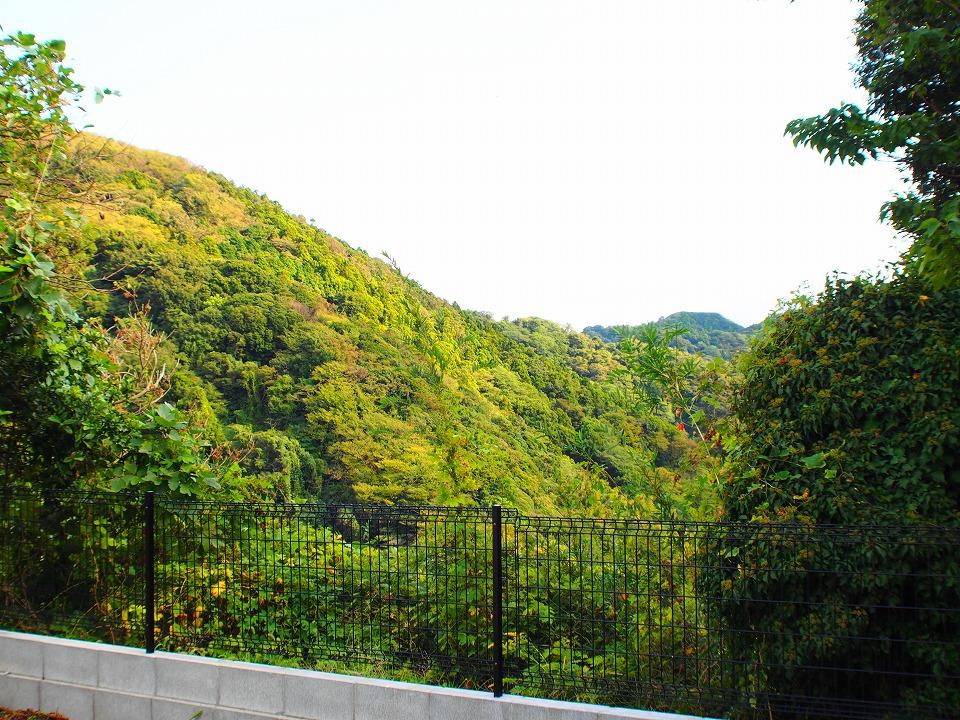 View photos from the local. Per hill, Per yang ・ ventilation ・ View ・ Sense of openness is good. 