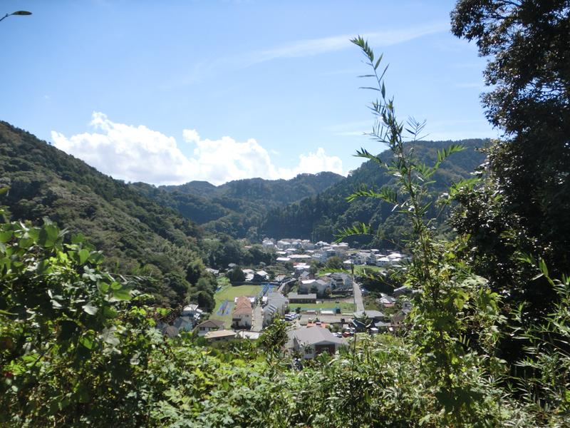 View photos from the local. View