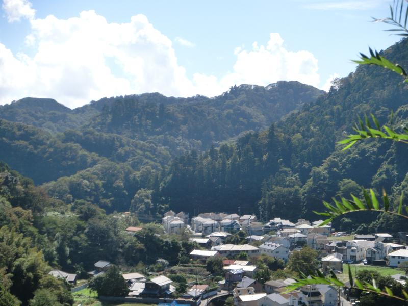 View photos from the local. View