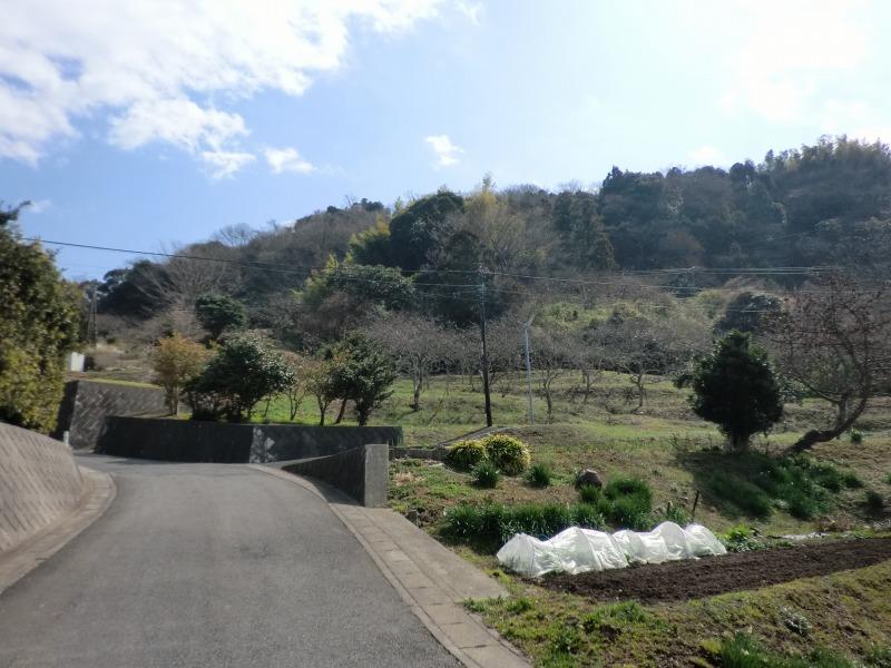 Local photos, including front road