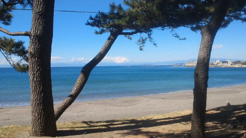 Other Environmental Photo. Isshiki coast