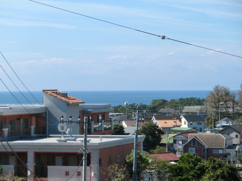 View photos from the dwelling unit. View from local