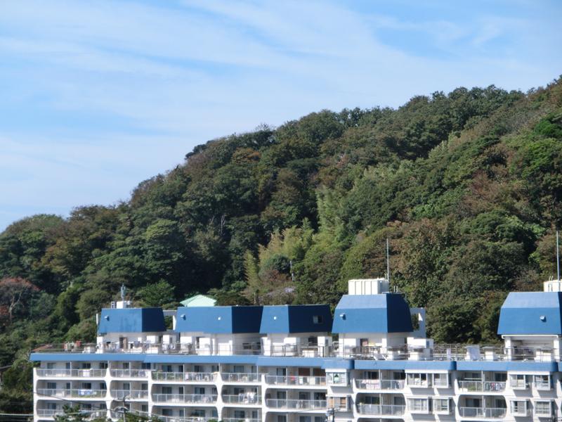 View photos from the dwelling unit. View from local