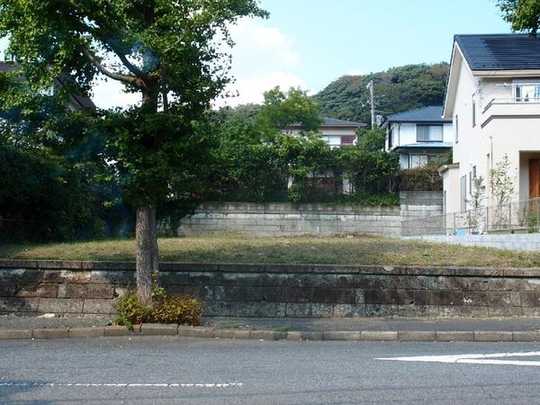 Local land photo. Local state