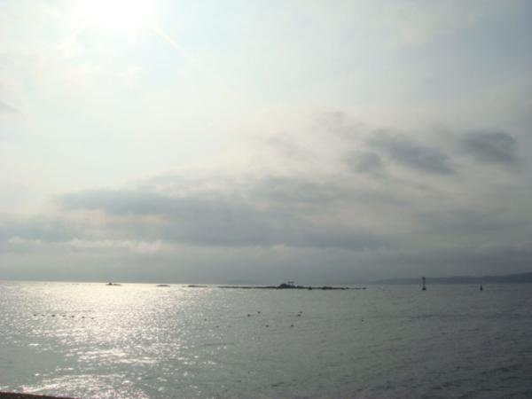 View photos from the local