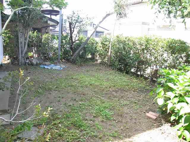 Local land photo. Local (June 2012) shooting